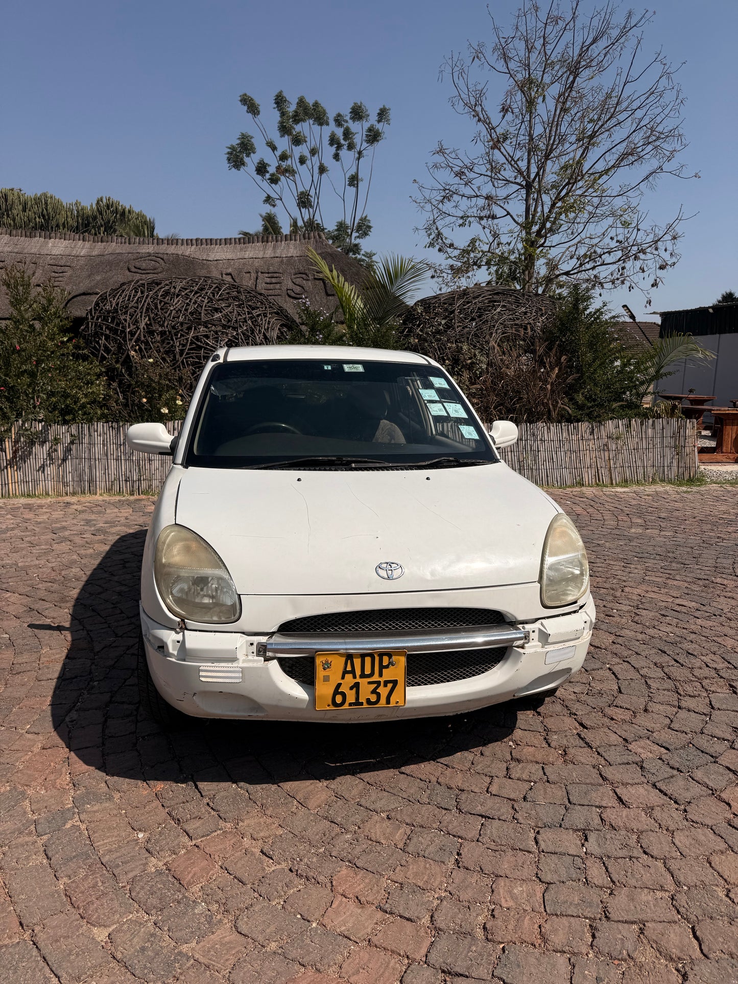 Toyota Duet