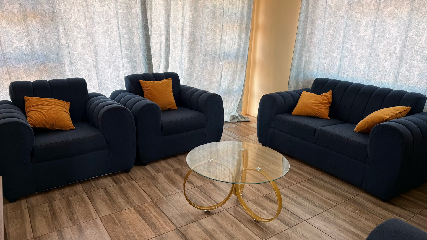 Modern Navy-Blue Couch Set