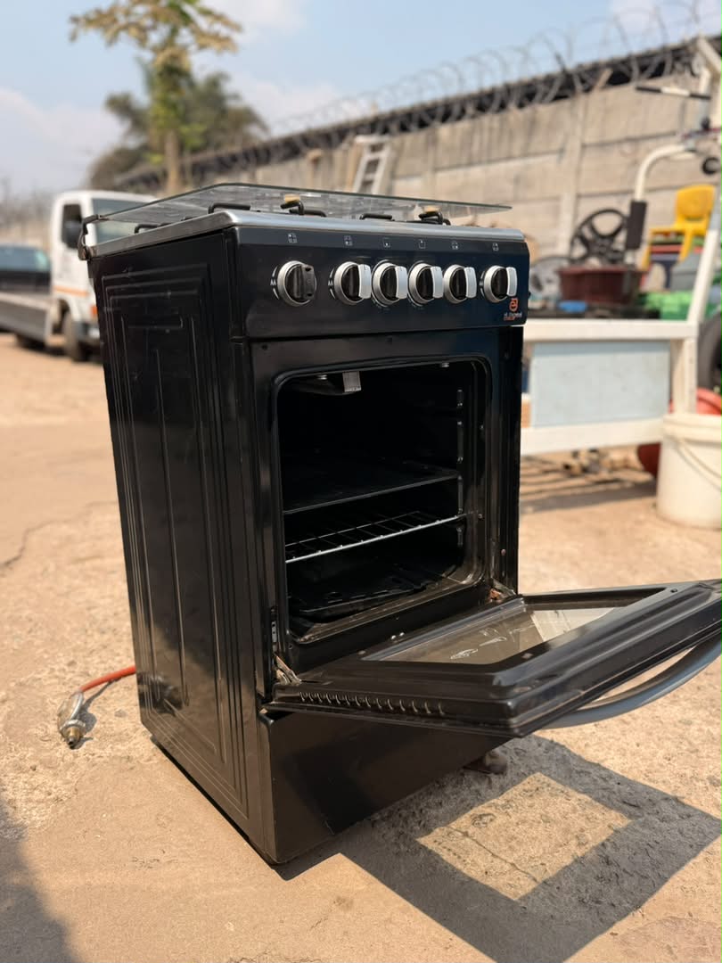 AE Electricals Gas Stove